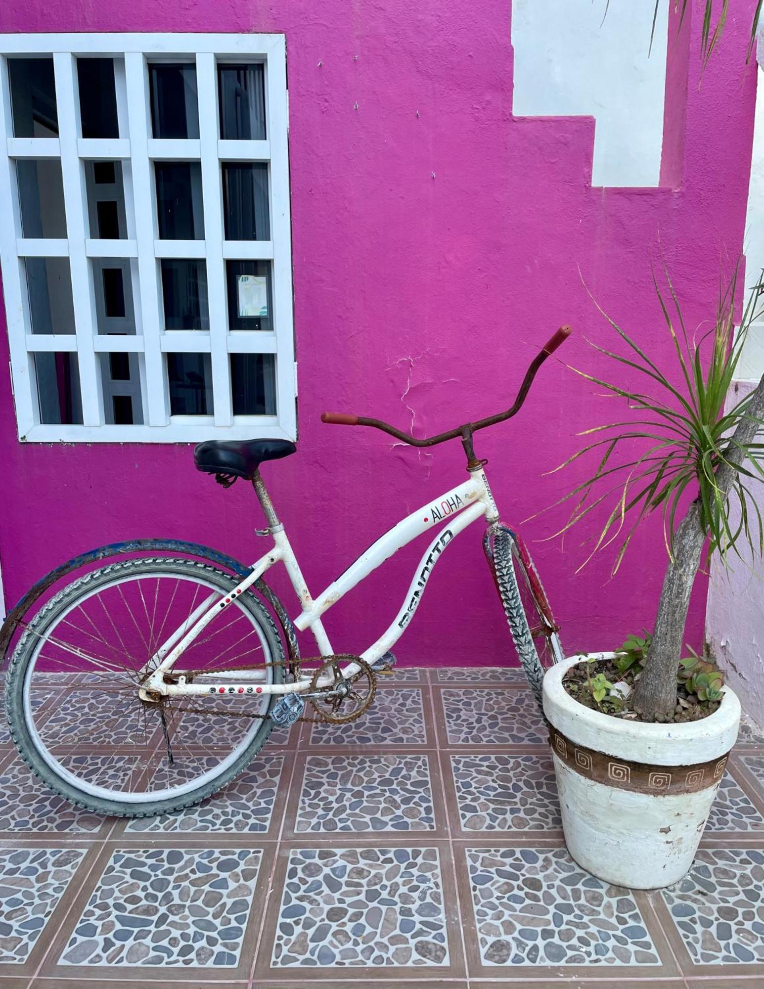 Pachamama Holbox - Hostel & Private Apartments Buitenkant foto