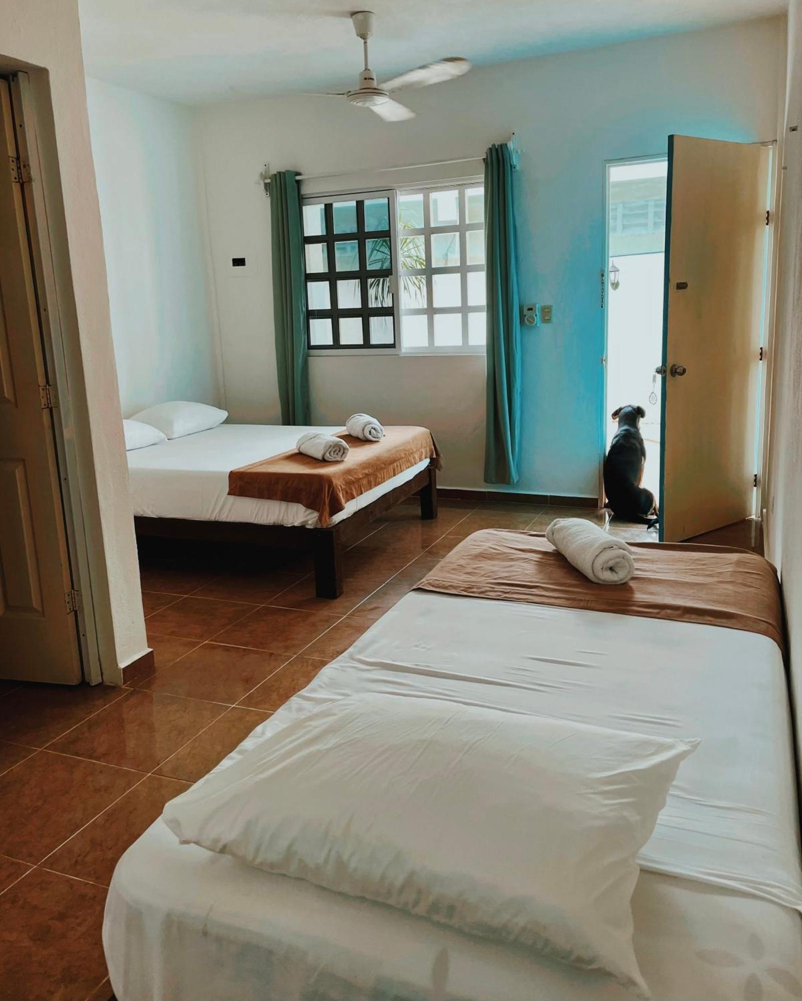 Pachamama Holbox - Hostel & Private Apartments Buitenkant foto